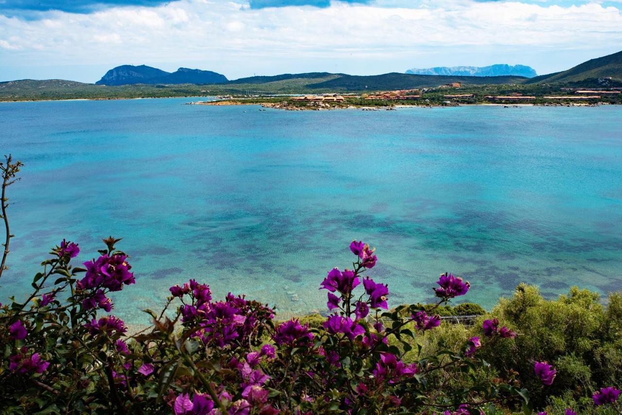 Casa Valery Wonderful Sea View Apartment Porto Rotondo Exterior photo