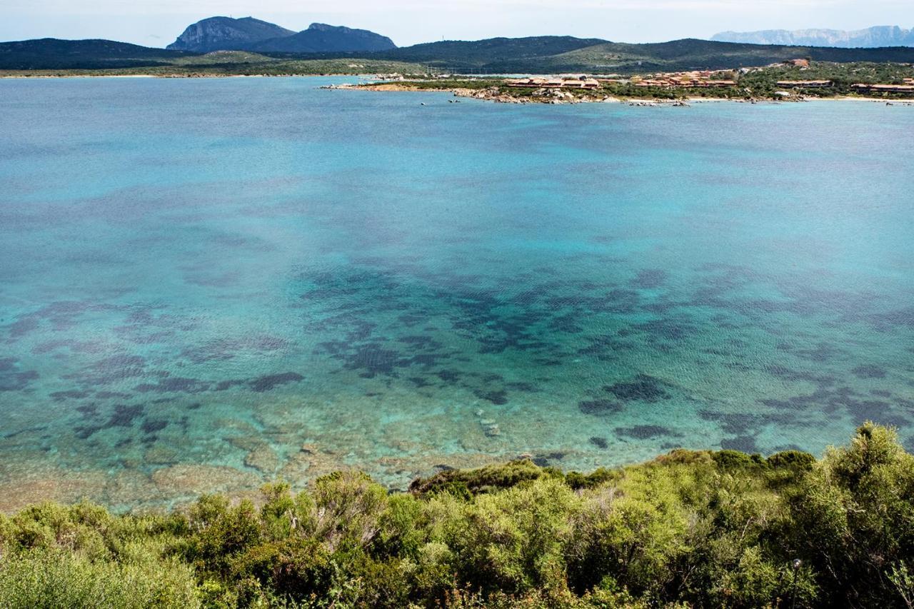 Casa Valery Wonderful Sea View Apartment Porto Rotondo Exterior photo